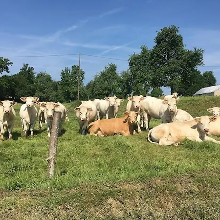 Cozy Gite In The French Countryside 度假居 Mantilly